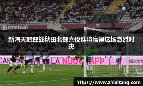 新泻天鹅迎战秋田北部喜悦谁将赢得这场激烈对决